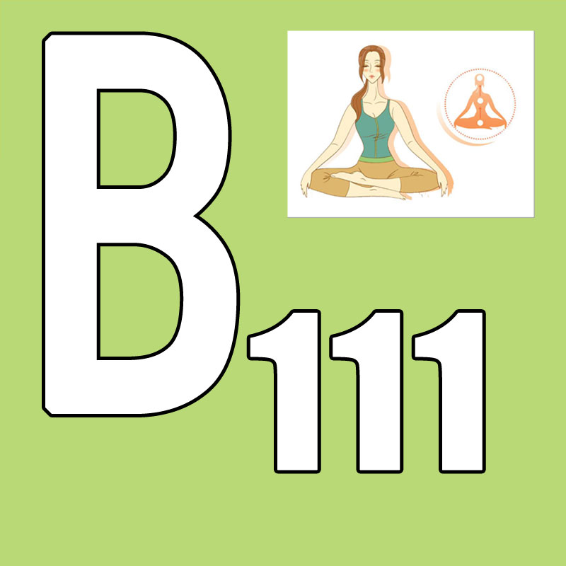 Hot Sale Latest Release 2026.Q - Yoga Fitness Group 评论和价格